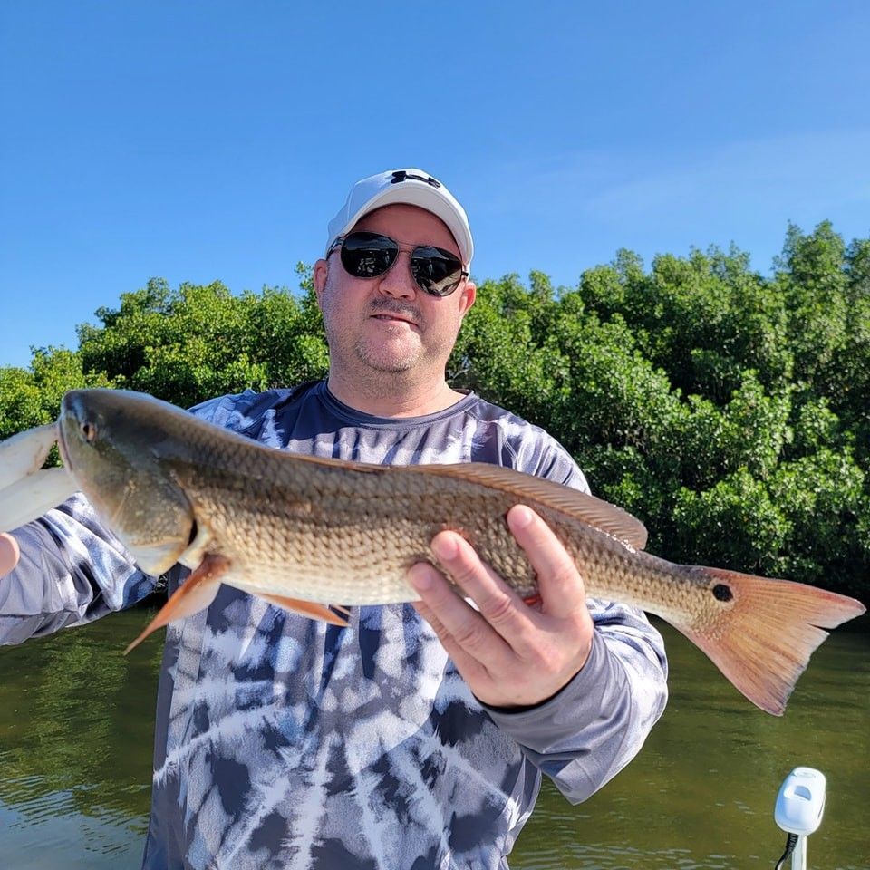 Tampa Fishing Report